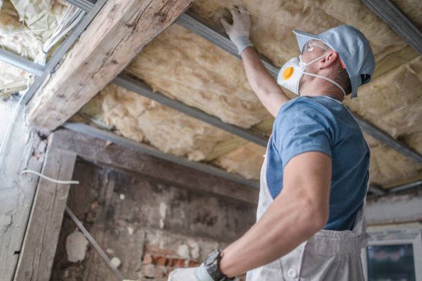 Best Insulation Removal  in Rocky Point, NC