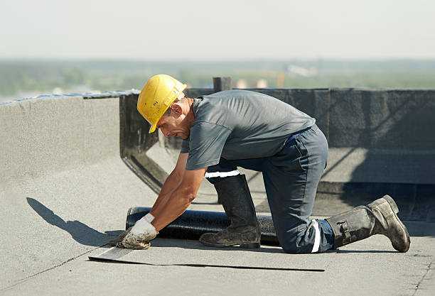 Best Cellulose Insulation  in Rocky Point, NC