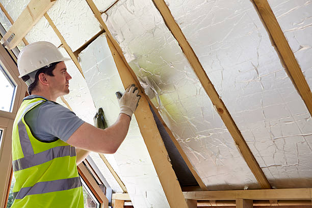 Best Insulation Contractors for Homes  in Rocky Point, NC