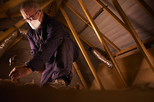 Best Insulation Inspection Services  in Rocky Point, NC