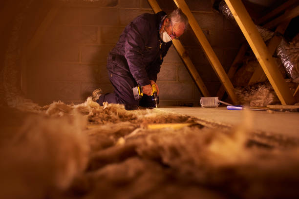 Professional Insulation Contractor in Rocky Point, NC