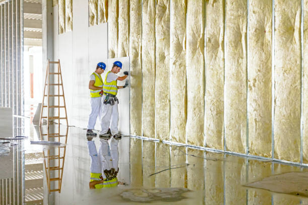 Best Insulation for New Construction  in Rocky Point, NC